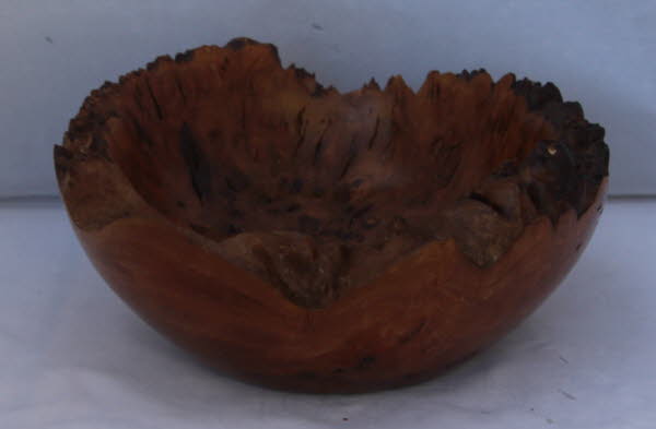 Burr Elm 6 x 3